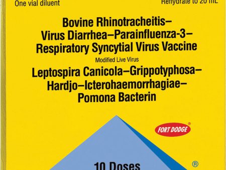 Boehringer-bios - Pyramid 10 Online Hot Sale