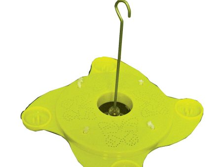 Audubon woodlink - Butterfly Fruit And Wick Feeder For Sale