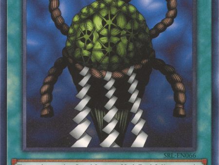 Turtle Oath (25th Anniversary) [SRL-EN066] Common Discount