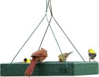 Audubon woodlink - Going Green Hanging Platform Feeder For Sale