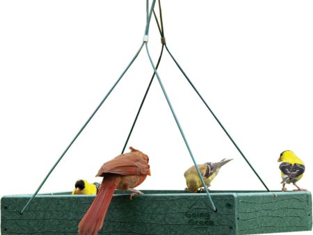 Audubon woodlink - Going Green Hanging Platform Feeder For Sale